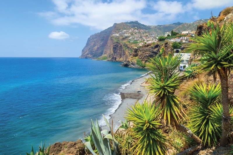 Madeira mesés kertjei