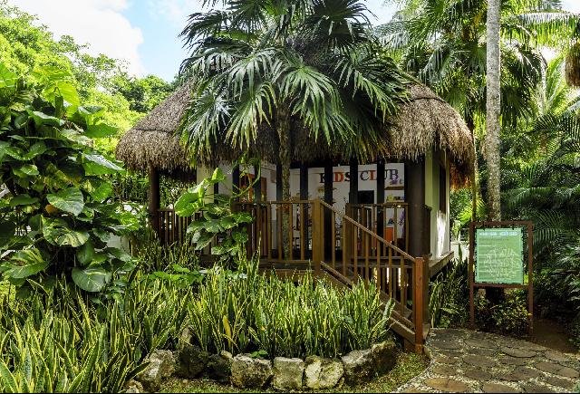 Mexikó utazás The Reef Playacar