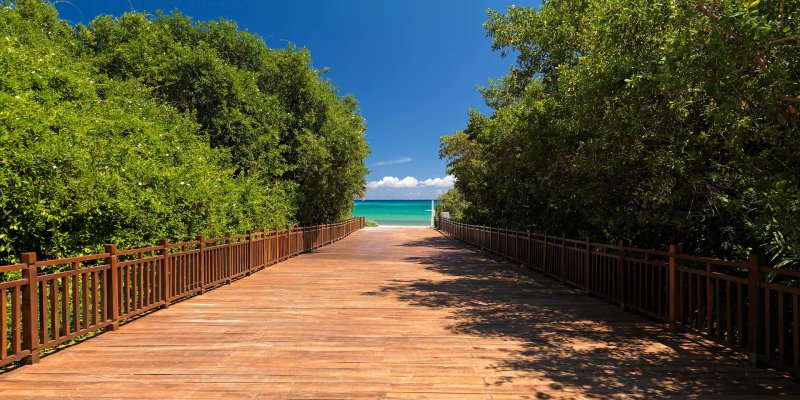 Paradisus La Perla Mexikói