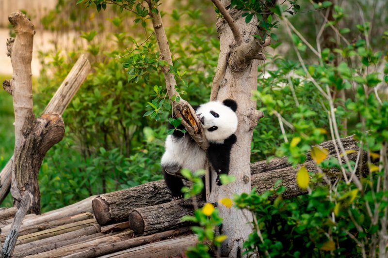 Peking Nagy Kínai Körutazás