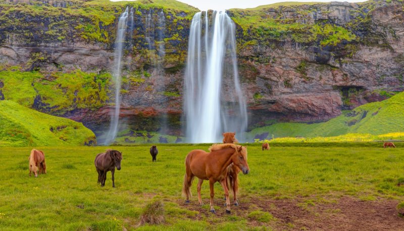 Reykjavík utazás Izlandi Csillagtúra
