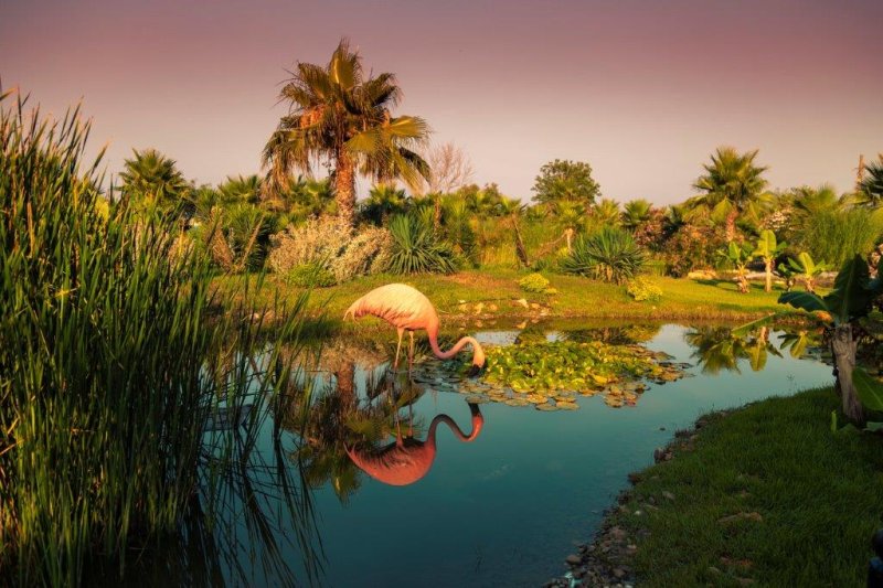 Side utazás Club Turan Prince World