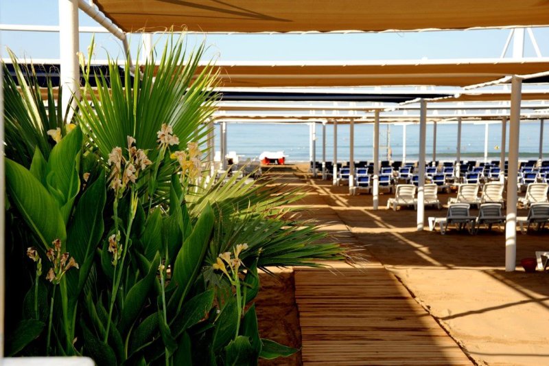 Side utazás Dream World Hill