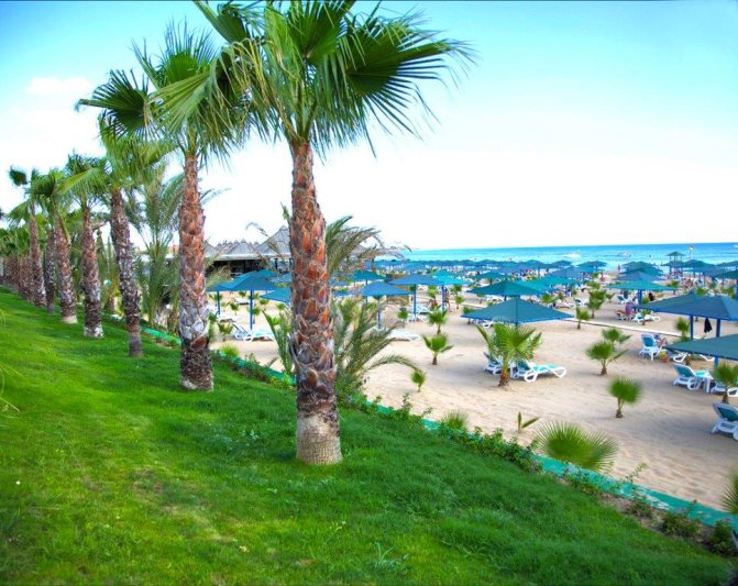Paloma Oceana Resort Side