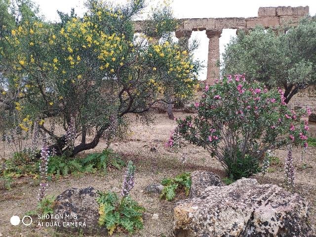 Szicília utazás Ezerarcú Szicília