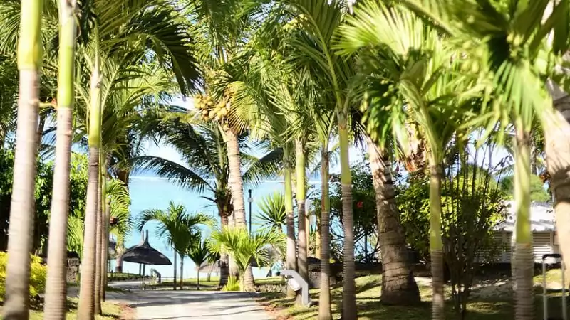 Veranda Palmar Beach Hotel Mauritius