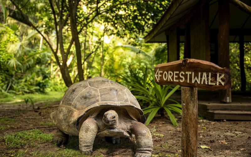 Seychelle-szigetek utazás Denis Private Island