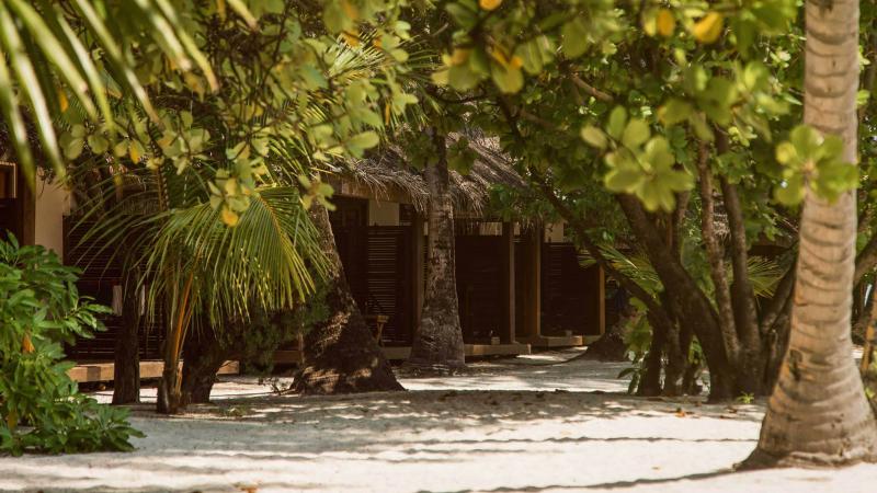 Maldív-szigetek utazás Alimathà Island Resort & Spa