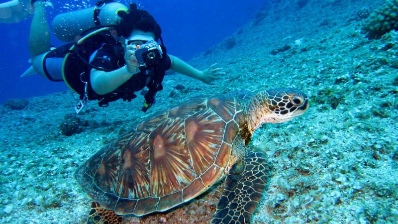 Maldív-szigetek utazás Dhiggiri Island Resort & Spa