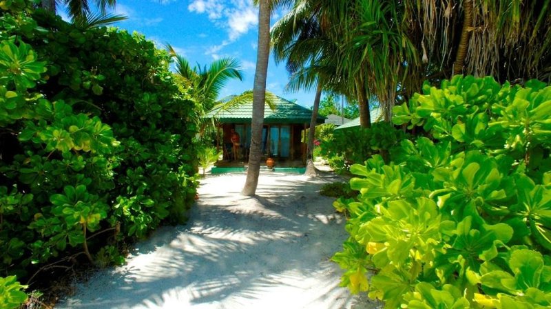 Maldív-szigetek utazás Canareef Resort