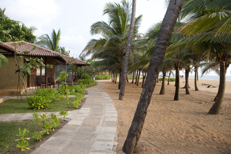 Club Hotel Dolphin Srí Lanka