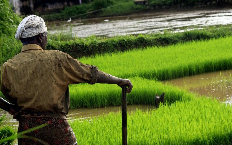 India körutazás, körutak Az istenek földjén