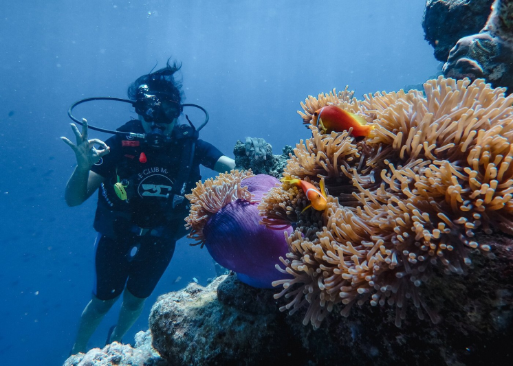 Furaveri Maldives Maldív-szigetek