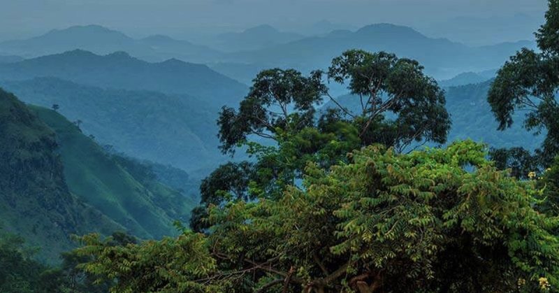 Srí Lanka körutazás Srí Lanka gyöngyszemei (körút + üdülés)