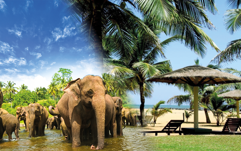 Srí Lanka körutazás + üdülés a Goldi Sands Hotel-ben