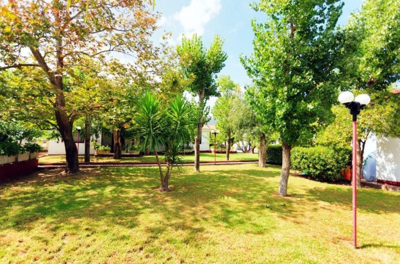 Zakynthos utazás Alykes Park