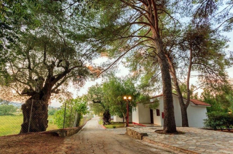 Zakynthos utazás Alykes Park