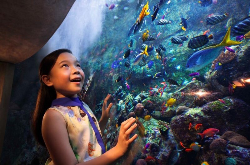 Dubai utazás Atlantis The Palm