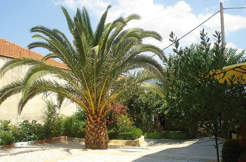 Lefkada-sziget utazás Captain s Studios