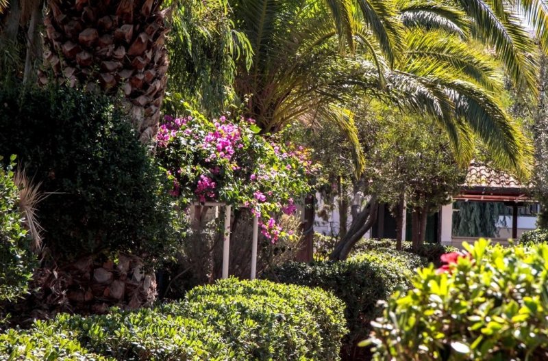 Kréta utazás Club Lyda