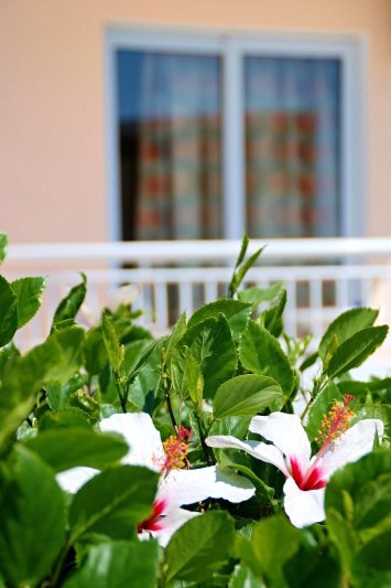 Rodosz Faliraki utazás Diagoras