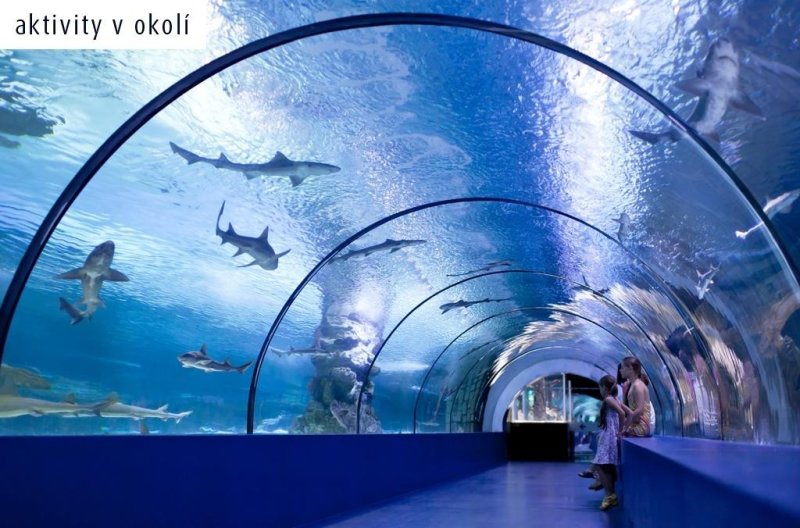 Kemer utazás Fame Residence Kemer