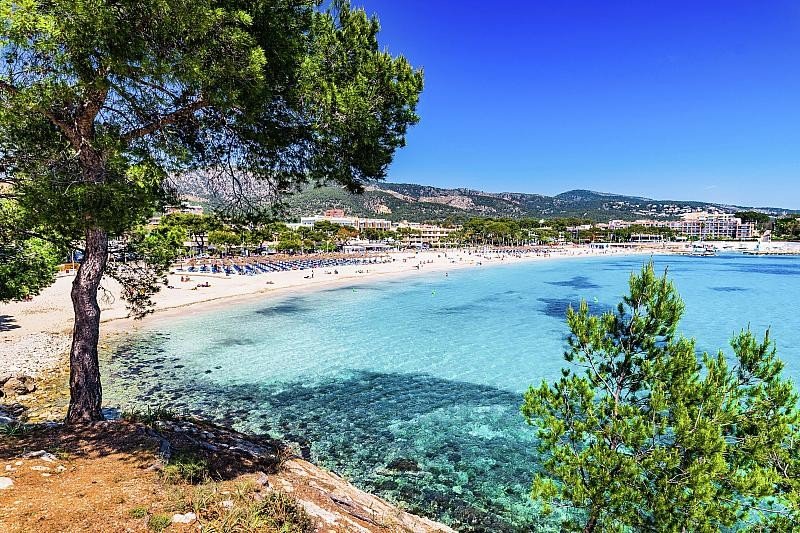 Mallorca utazás Globales Mimosa