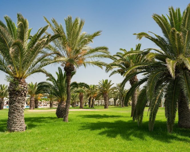 Hammamet utazás The Mirage Resort and SPA