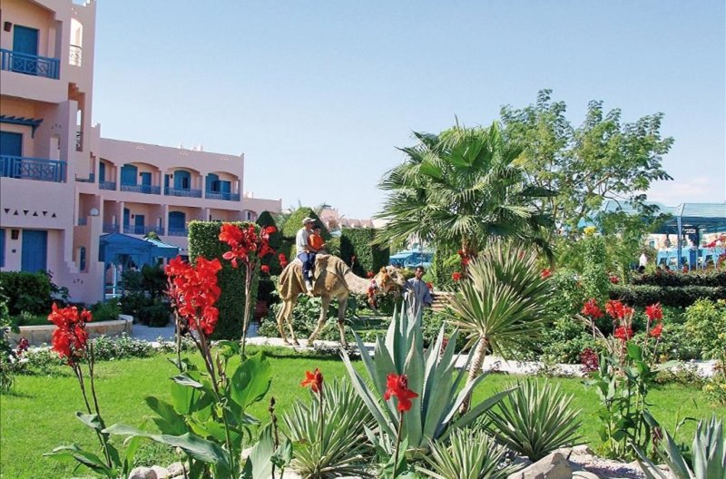 Hurghada utazás Le Pacha