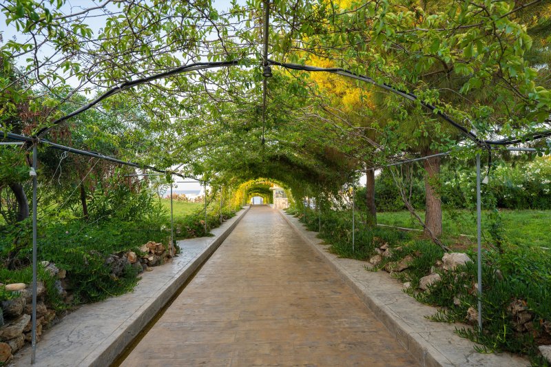 Side utazás Master Family Club