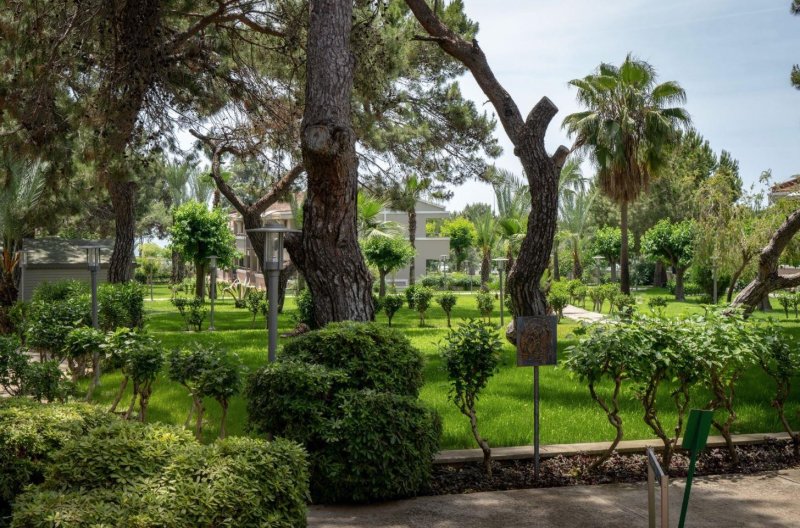 Side utazás Master Family Club