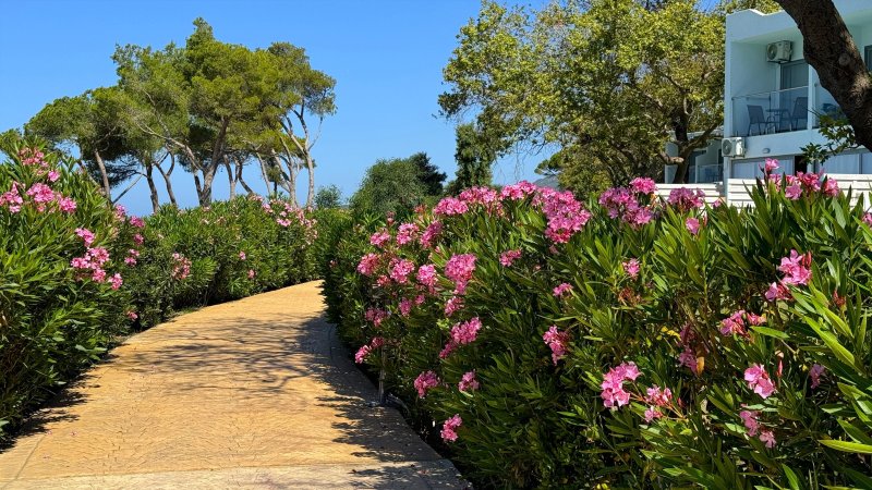 Lefkada-sziget utazás Ninos Grand Beach Hotel & Resort