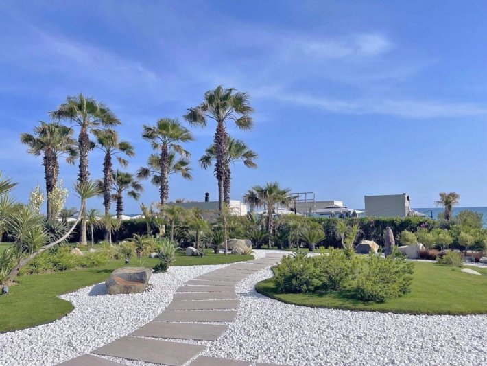 Side utazás Paloma Finesse