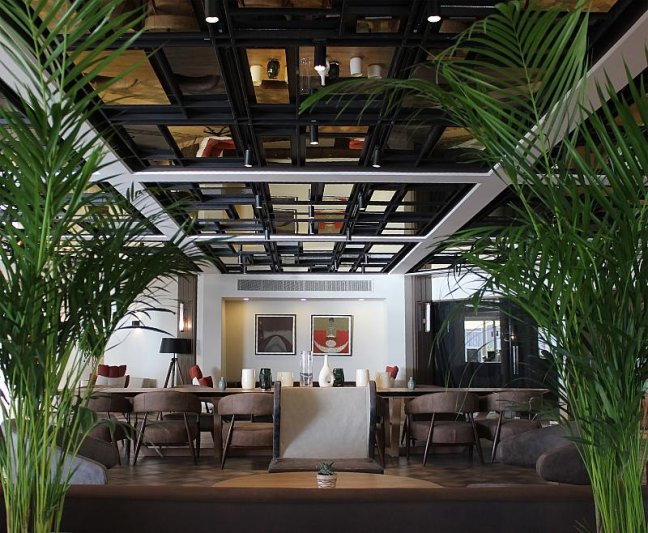 Side utazás Paloma Perissia