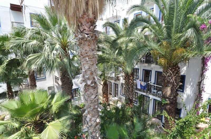 Bodrum utazás Sami Beach Hotel