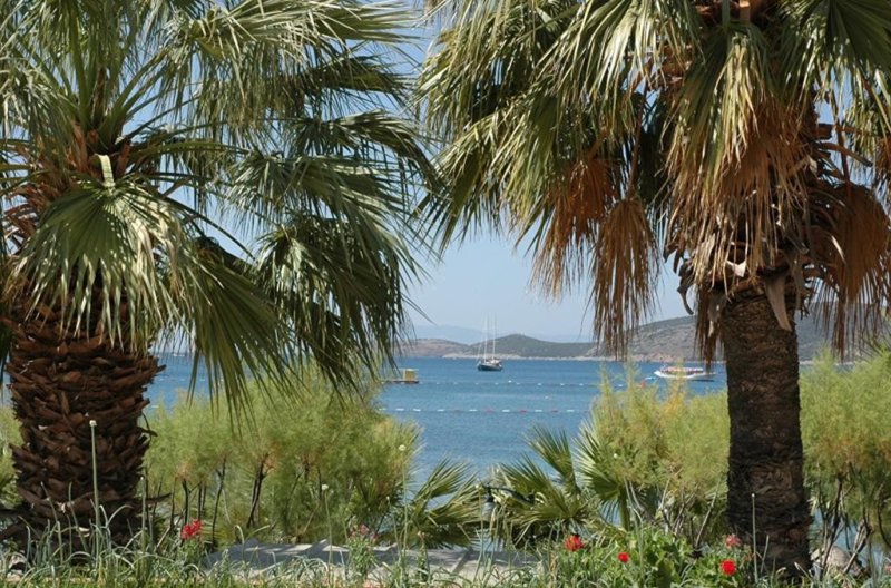 Bodrum utazás Sami Beach Hotel