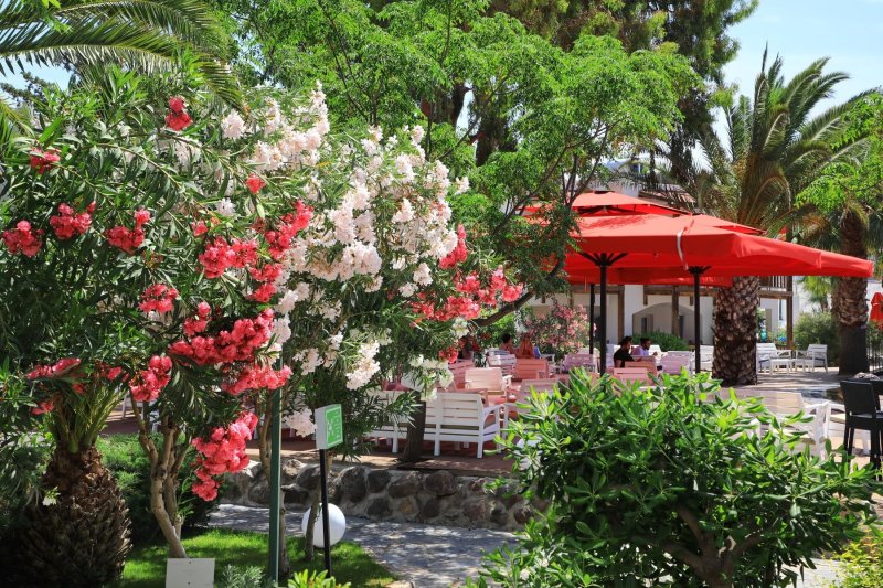 Bodrum utazás Very Chic Hotel 