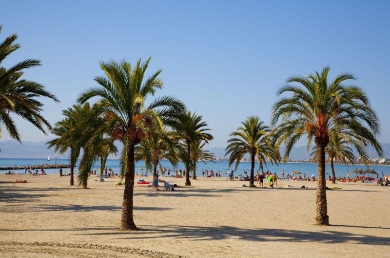 Mallorca utazás Whala! Beach