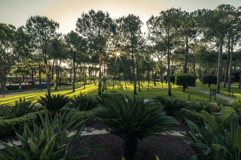 Kemer utazás Balmy Foresta