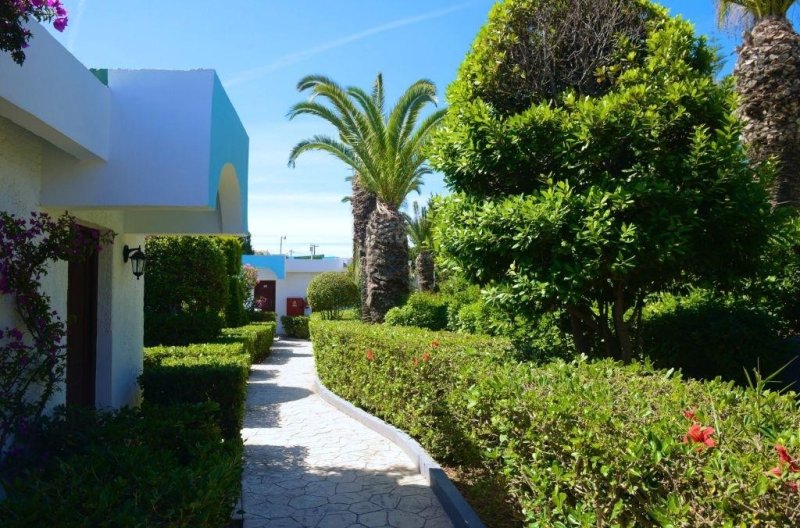 Rodosz Ialyssos utazás D Andrea Mare Beach