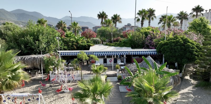 Alanya utazás Blue Wave Suite Hotel