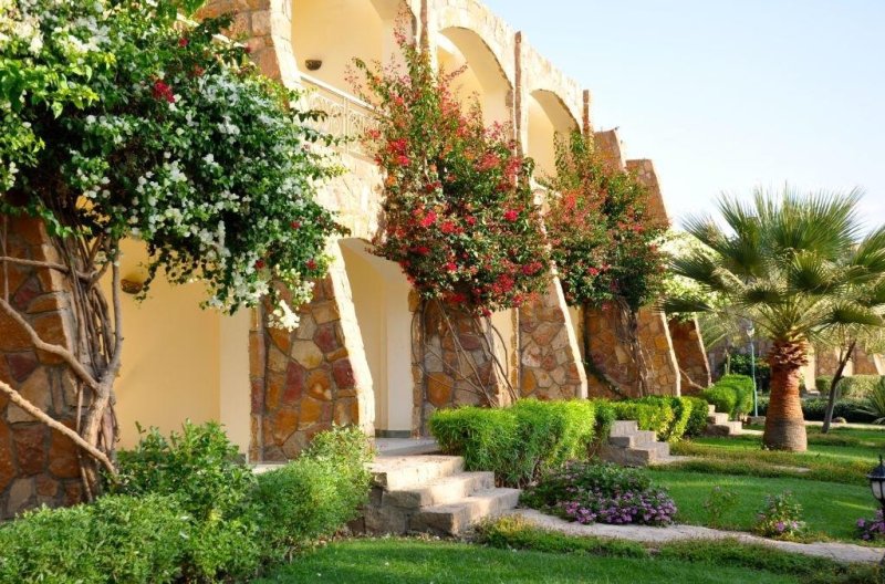 Marsa Alam utazás Brayka Bay Reef