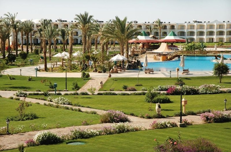 Marsa Alam utazás Brayka Bay Reef