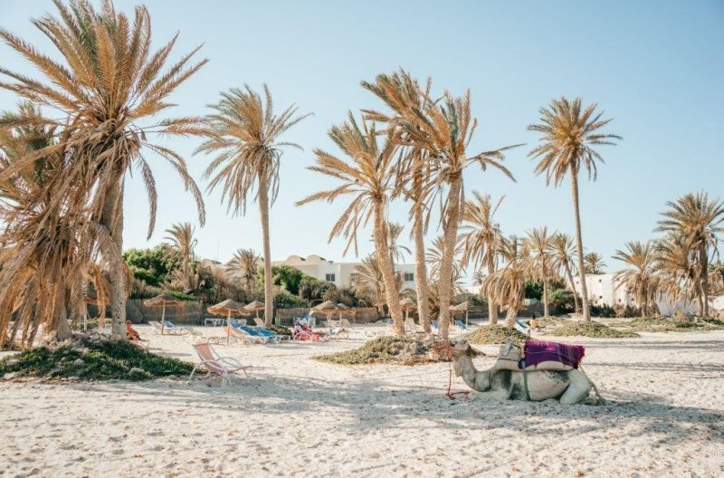 Djerba utazás Djerba Castille