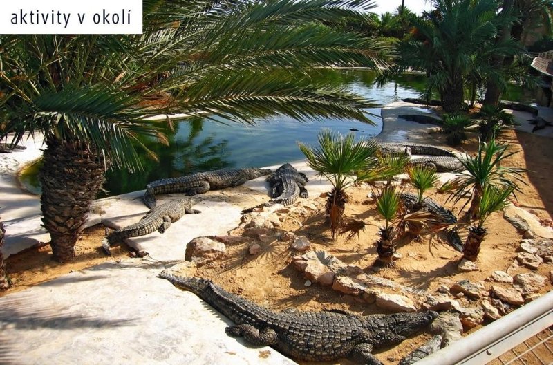 Djerba utazás Eden Star