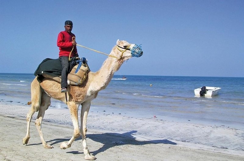 Djerba utazás Eden Star