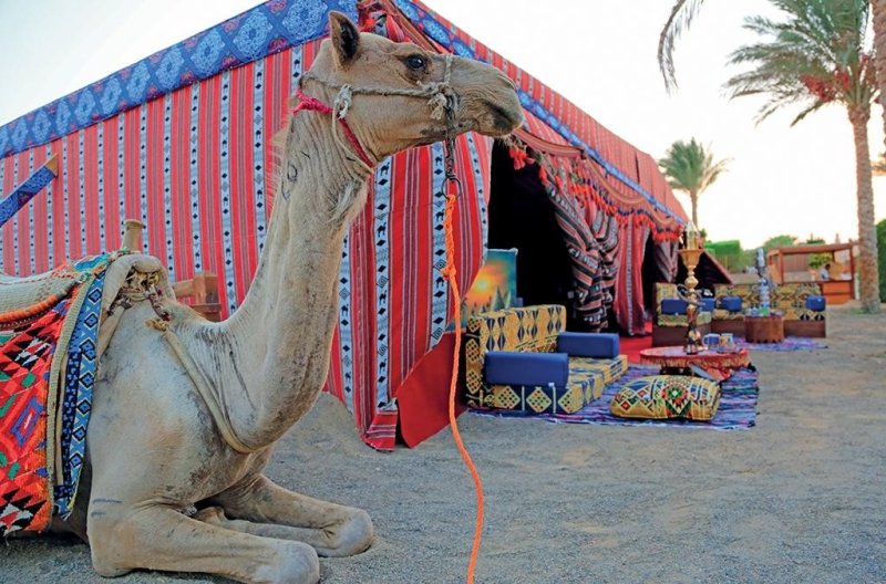 Marsa Alam utazás Gemma Resort