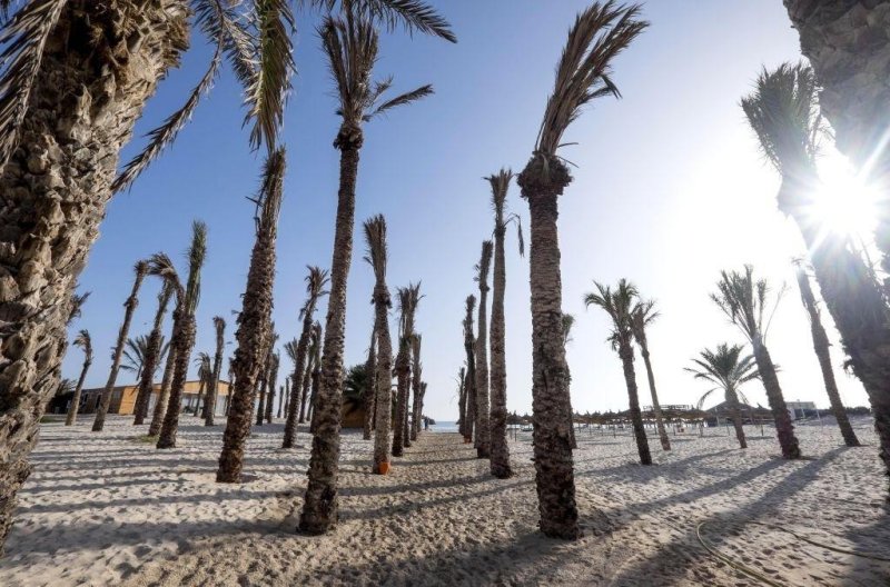 Djerba utazás Hacienda