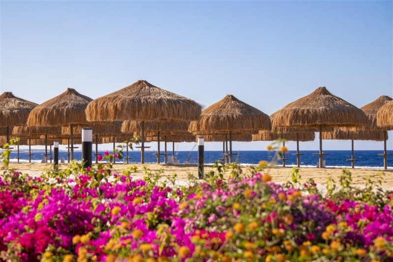 Marsa Alam utazás Lazuli Marsa Alam