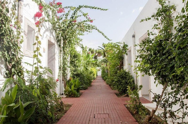 Hammamet utazás Le Hammamet Hotel & Spa